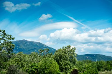 Pyrenees Meadow  in  summer