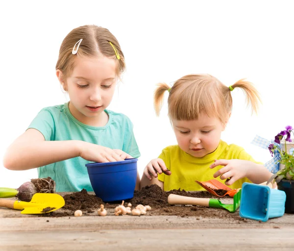 Zusters zijn verwikkeld in tuinieren — Stockfoto