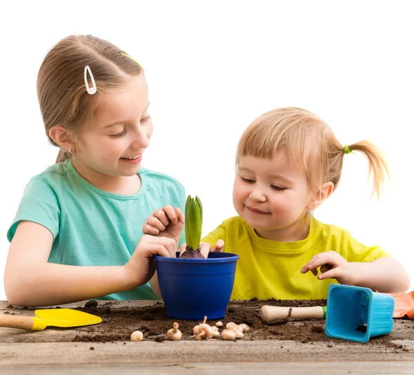 Le piccole sorelle sono impegnate nel giardinaggio — Foto Stock