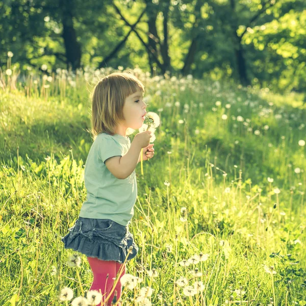 Happy little girl on the field — Stock Photo, Image