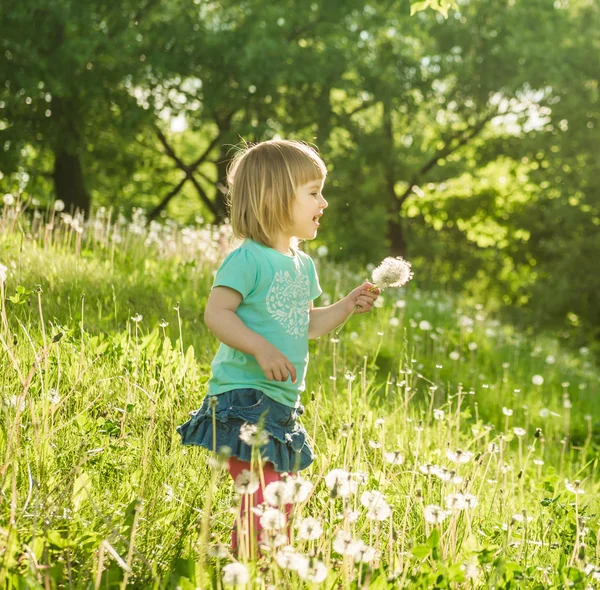 Счастливая маленькая девочка на поле — стоковое фото