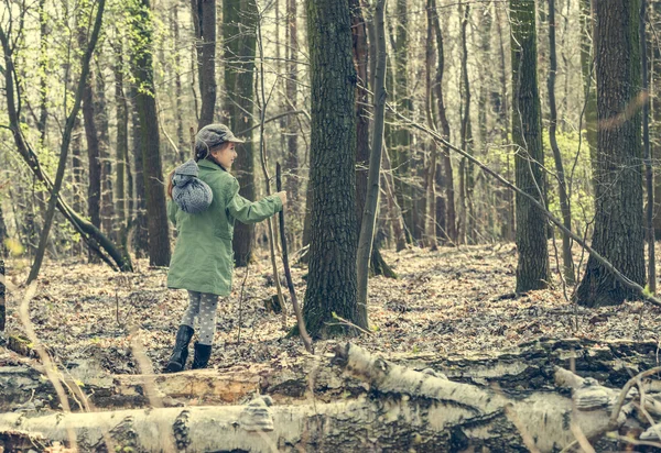 Little girl goes through the woods — Stock Photo, Image