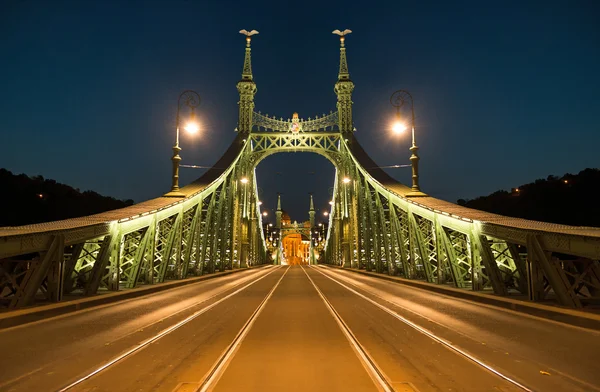 到了晚上在布达佩斯自由桥 — 图库照片