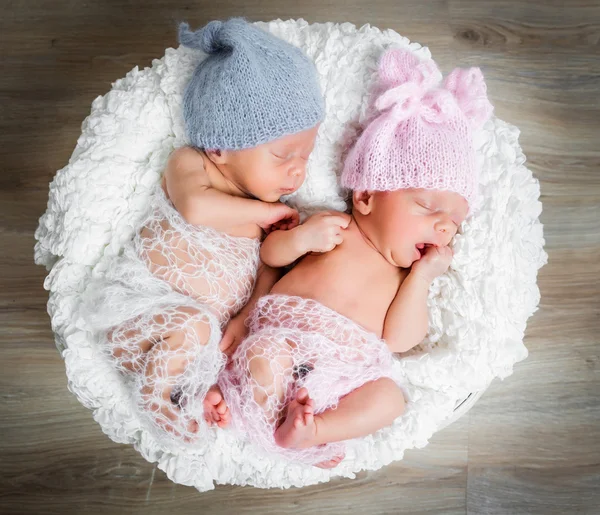 Newborn twins l sleeping in a basket — Stock Photo, Image