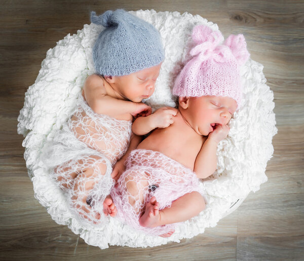 newborn twins l sleeping in a basket