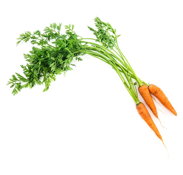 Havuçlu sebze yaprakları ile