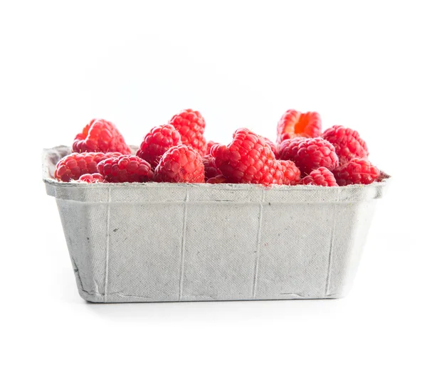 Raspberry container — Stockfoto