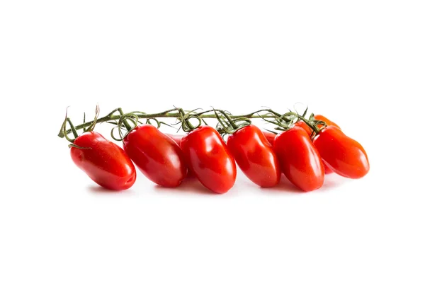 Tros verse tomaten — Stockfoto