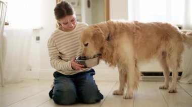 Küçük kız, aydınlık bir odada sevimli bir köpeğe yemek kupası veriyor.