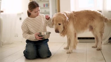 Mutlu Gülümseyen Kız, sevimli altın av köpeğiyle oynuyor ve onu yemek kupasıyla besliyor.