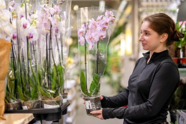 Çiçek Dükkanında Orkide Seçen Kız