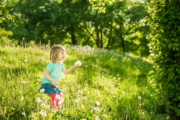 Menina feliz no campo — Fotografia de Stock