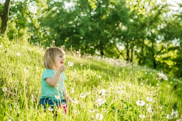 Gelukkig meisje op het veld — Stockfoto