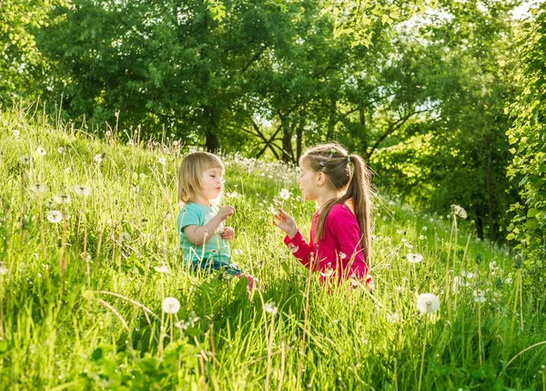 Twee gelukkige kleine zusters op het veld — Stockfoto