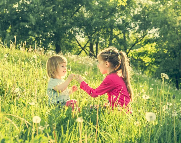 Счастливые маленькие сестры на поле — стоковое фото