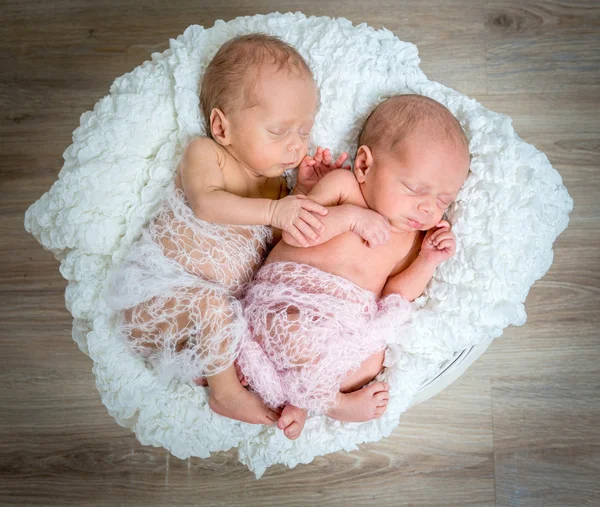 Gemelos recién nacidos durmiendo en una cesta —  Fotos de Stock