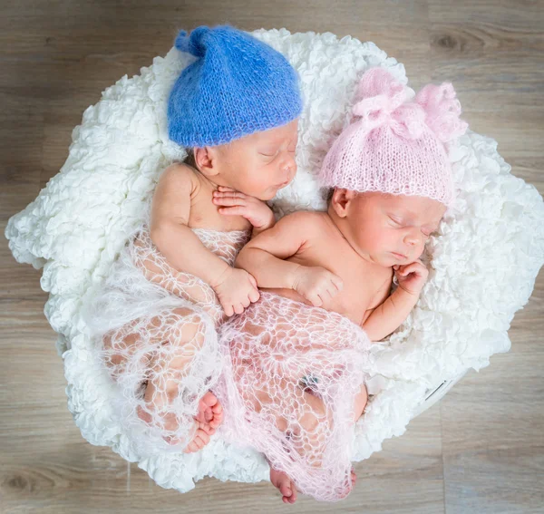 Newborn twins l sleeping in a basket — Stock Photo © tan4ikk 80840130