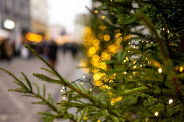 Ön planda Çam dalı olan Noel Sokağı Yumuşak Odaklanma