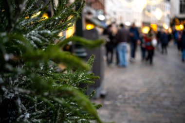 Noel Ağacı Dalları ve Işıklar Bulanık bir sokakta parlıyor
