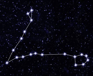 yıldızlı gökyüzüne karşı Balık takımyıldızı