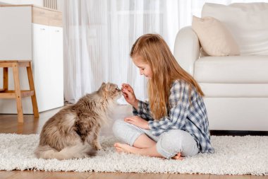 Küçük kız evde bir kediyle oynuyor oturma odasında.