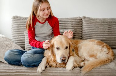 Genç kız koltukta altın bir av köpeğiyle oynuyor.