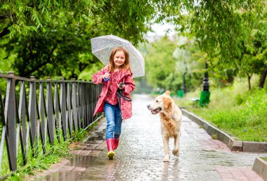 Gülümseyen kız elinde şemsiyeyle altın bir av köpeğiyle koşar ve yağmurda kayışla gezer.