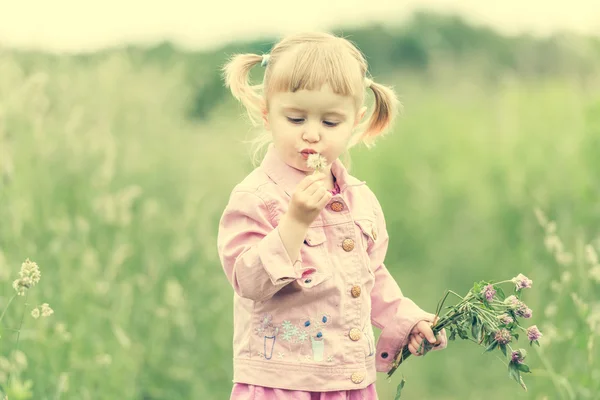 牧草地でかわいい女の子 — ストック写真