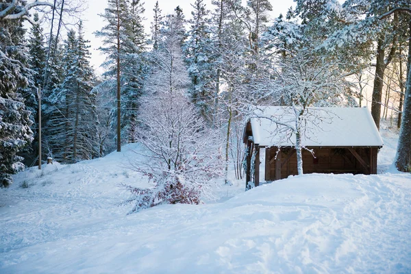 Vinterlandskap med träd nära wood — Stockfoto