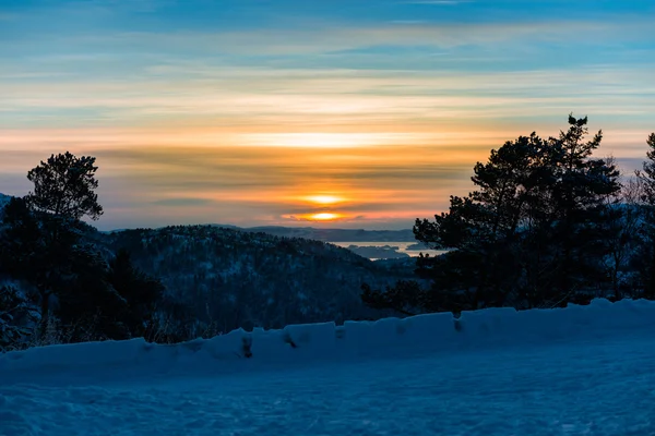 Paysage hivernal avec des arbres près du bois — Photo