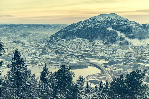 Bergen, gözlem güverteden panoramik görünüm — Stok fotoğraf