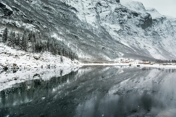 Fjord di Norwegia — Stok Foto