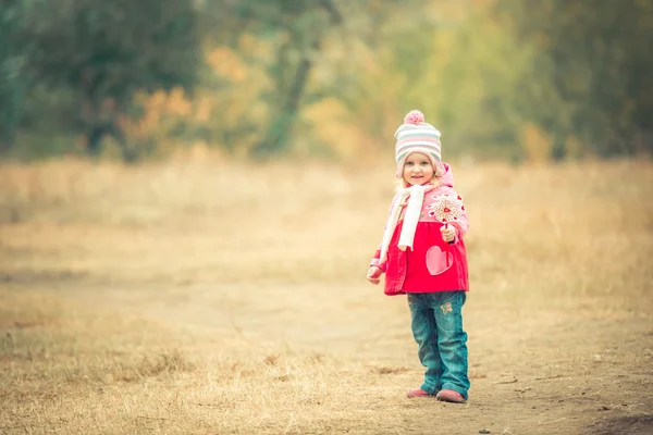 Usměvavá holčička na podzimní krajina — Stock fotografie