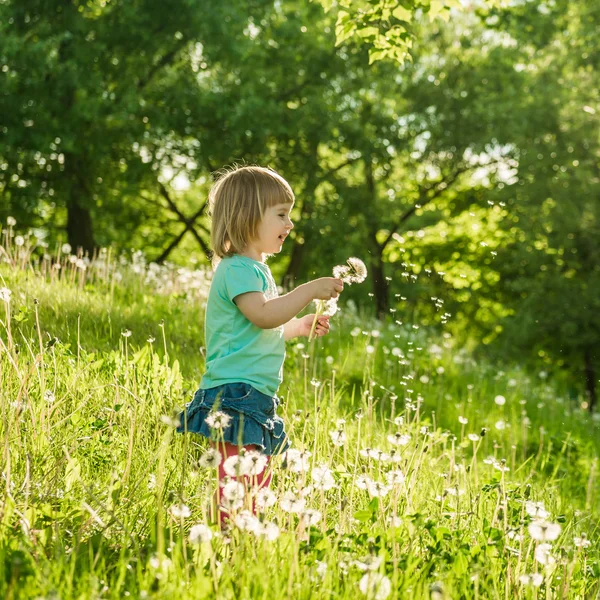 Niña feliz en el campo —  Fotos de Stock