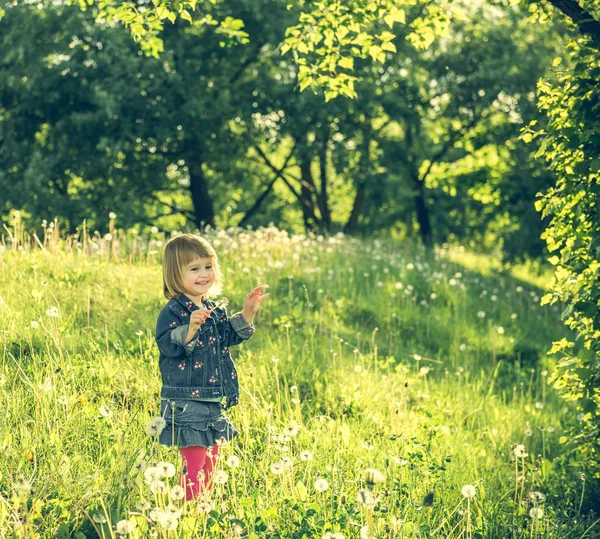 Happy little girl on the field — Stock Photo, Image