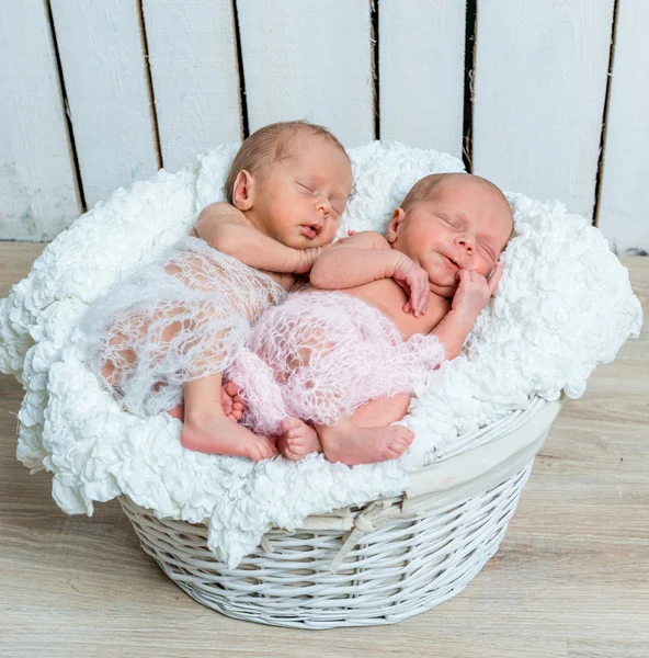 Gemelos recién nacidos l durmiendo en una cesta —  Fotos de Stock