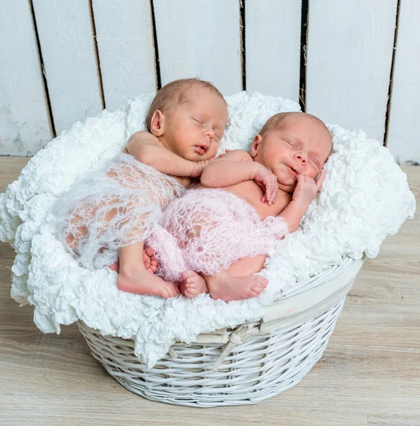 Neugeborene Zwillinge l schlafen in einem Korb — Stockfoto