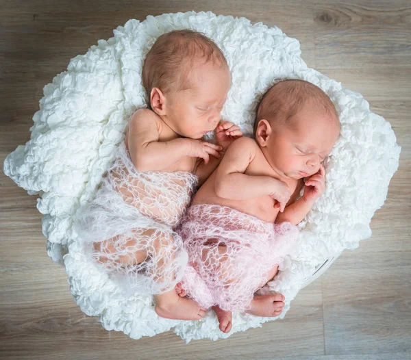 Jumeaux nouveau-nés l dormir dans un panier — Photo