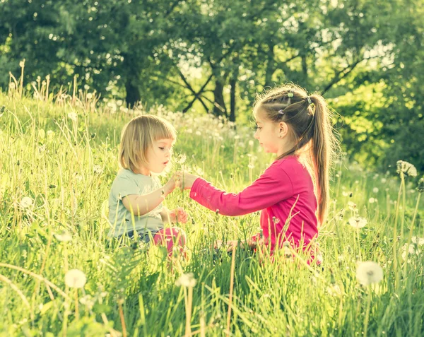 Twee gelukkige kleine zusters op het veld — Stockfoto