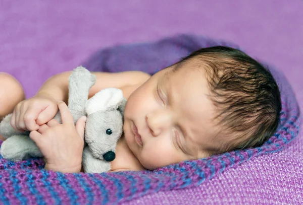 Novorozené dítě spí na fialovou deku — Stock fotografie