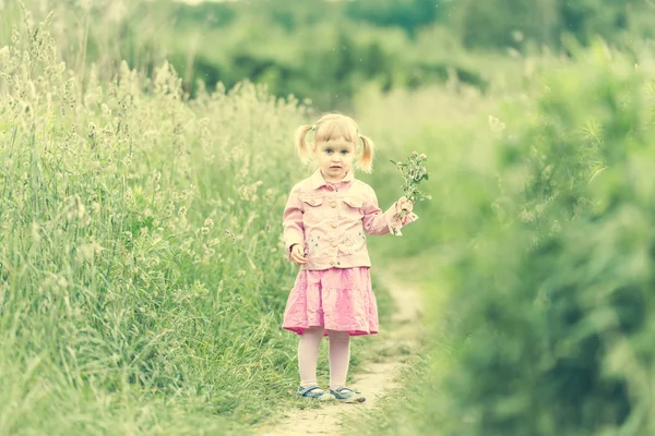 Schattig klein meisje op de weide — Stockfoto