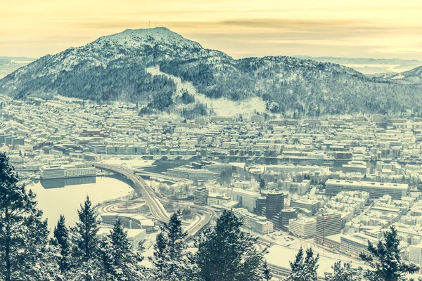 Vista panorámica desde la plataforma de observación de Bergen — Foto de Stock