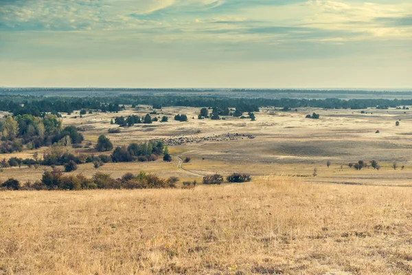 Vista panoramica di Kharkov, Ucraina — Foto Stock