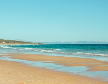 plaj ve tropikal deniz