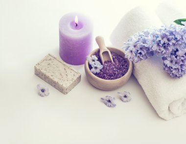 Spa tedavisinin bileşimi