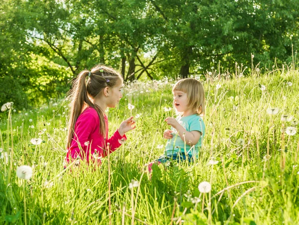 Twee gelukkige kleine zusters op het veld — Stockfoto