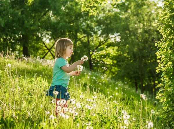 Happy little girl on the field — Stock Photo, Image