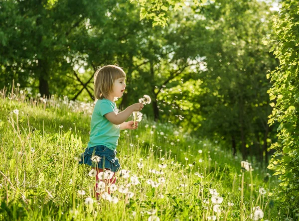 Niña feliz en el campo — Foto de Stock