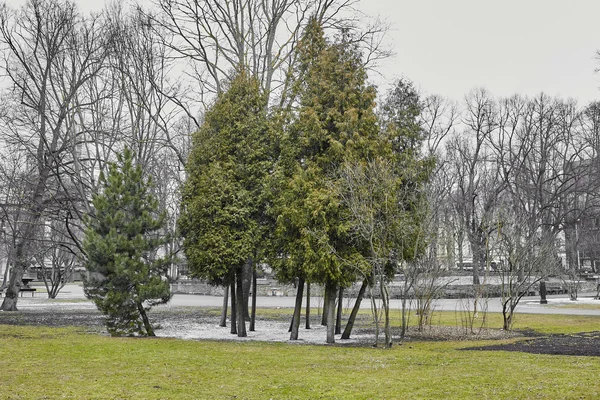 Kış karşılar bileşik manzara bahar. dolambaçlı yol Vadisi yeşil çim ile. Parklar kaldırım taşı. — Stok fotoğraf