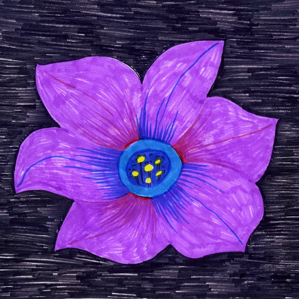 Decorative petunia flower — Stock Photo, Image